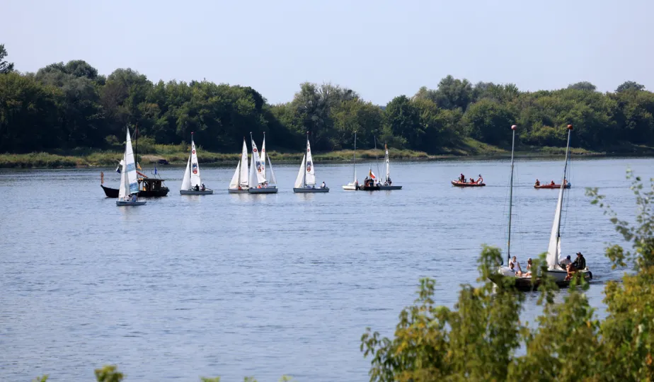 9. Festiwal Wisły - Regaty o Puchar Prezydenta Miasta Torunia
