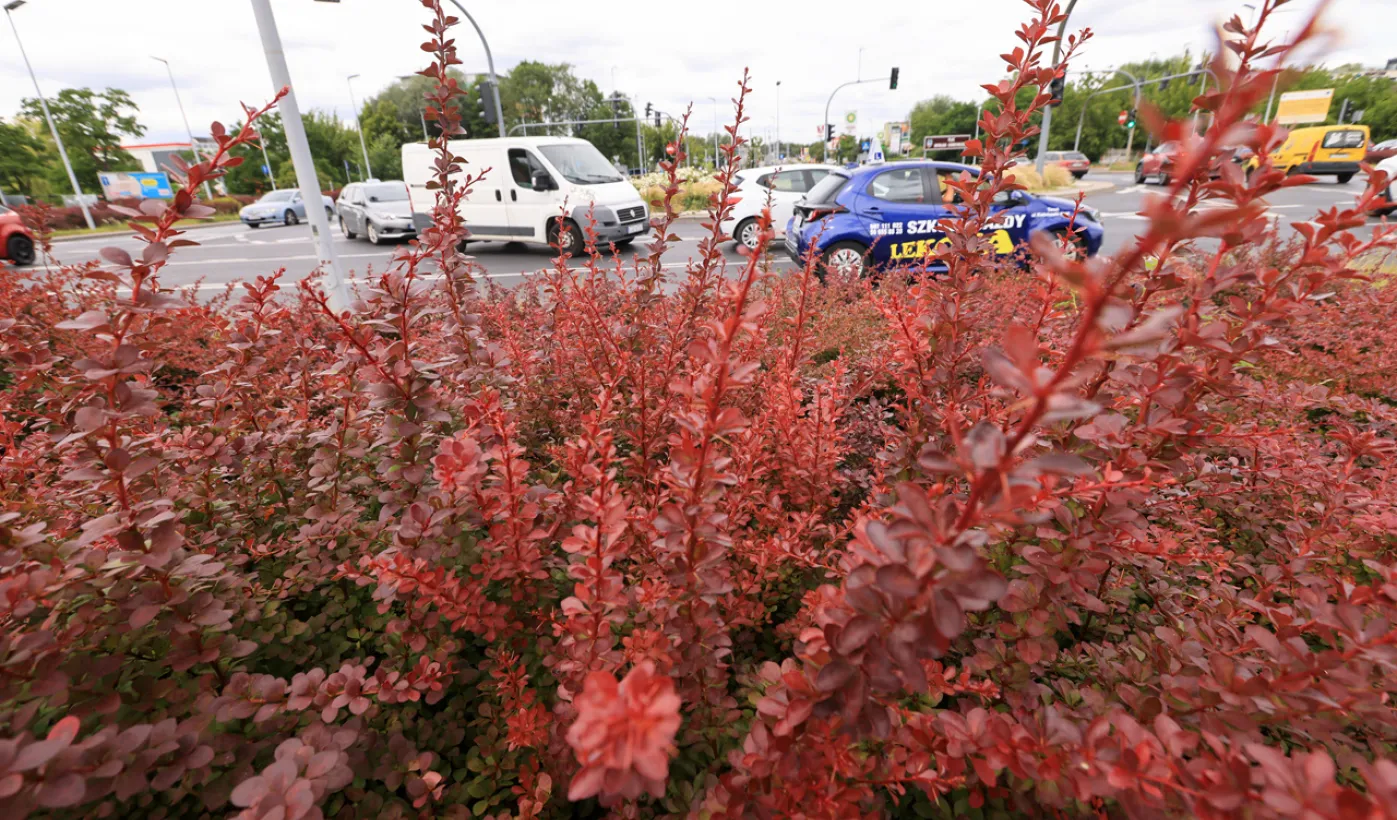 Rondo im. Witalisa Ugrechlidze