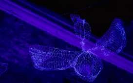 Bella Skyway Festival 2024 - środa, 22.08.2024 r.