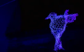 Bella Skyway Festival 2024 - środa, 22.08.2024 r.