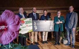 Finał konkursu "Wzorcowy zielony ogrodek starówki 2024"