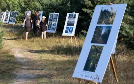 Babie Lato na Wrzosowisku