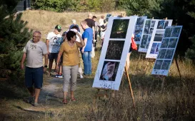 Babie Lato na Wrzosowisku