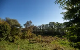 Spacer badawczy na Winnicy