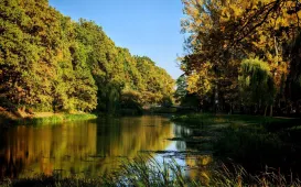 Jesień w Parku Miejskim na Bydgoskim Przedmieściu