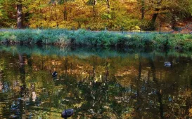 Jesień w Parku Miejskim na Bydgoskim Przedmieściu