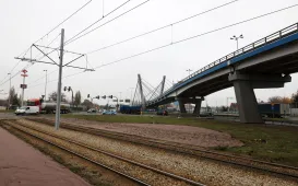 Nasadzenia przy Placu Daszyńskiego, listopad 2024