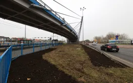 Nasadzenia przy Placu Daszyńskiego, listopad 2024