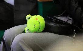 Miasto Przyjazne Dzieciom, 15.11.2024 r.