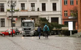 Montaż choinki bożonarodzeniowej, 29.11.2024 r.