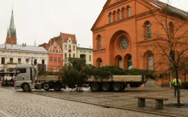 Montaż choinki bożonarodzeniowej, 29.11.2024 r.