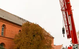 Montaż choinki bożonarodzeniowej, 29.11.2024 r.