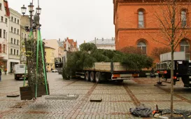Montaż choinki bożonarodzeniowej, 29.11.2024 r.