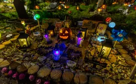 Tęczowy Las - cmentarz dla zwierząt