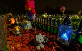 Tęczowy Las - cmentarz dla zwierząt