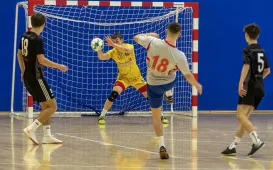 Prezentacja Elany Toruń