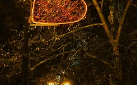 Walentynki w Toruniu