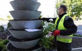 Nasadzenia kwiatów, 27.05.2025 r.