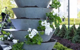 Nasadzenia kwiatów, 27.05.2025 r.