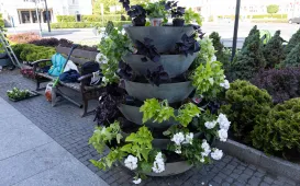 Nasadzenia kwiatów, 27.05.2025 r.