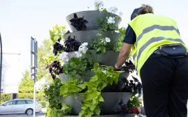 Nasadzenia kwiatów, 27.05.2025 r.