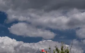 Festyn na lewobrzeżu, 24 maja 2025 r.