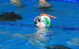 Puchar Polski w pływaniu w płetwach, 31.05.2025 r.