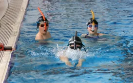 Puchar Polski w pływaniu w płetwach, 31.05.2025 r.