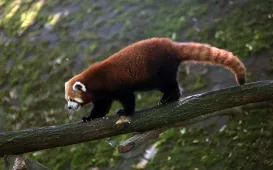 Niedzielna edukacja w Ogrodzie Zoobotanicznym