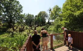 Niedzielna edukacja w Ogrodzie Zoobotanicznym