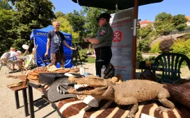 Niedzielna edukacja w Ogrodzie Zoobotanicznym