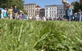 Śniadanie na trawie 