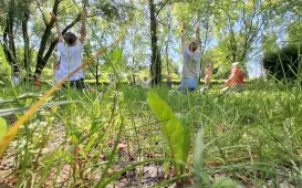 Kulturalne śniadanie nad Martówką