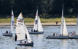 9. Festiwal Wisły - Regaty o Puchar Prezydenta Miasta Torunia