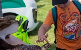 Święto Wojska Polskiego 2025 - Rodzinny Piknik Militarny