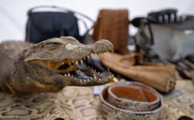 Święto Wojska Polskiego 2025 - Rodzinny Piknik Militarny