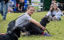 Piknik Przyjaciół Schroniska