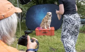 Piknik Przyjaciół Schroniska