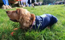 Sprzątanie świata nad Martówką, 19.09.2025 r.