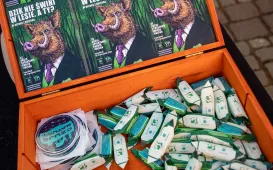 Ekologiczne Miasteczko na Rynku, 20.09.2025 r.