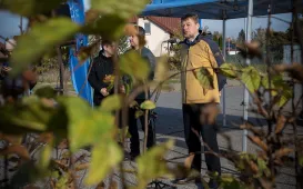 Zasadziliśmy mikrolas na lewobrzeżu