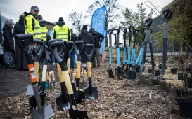 Trzeci mikrolas w Toruniu