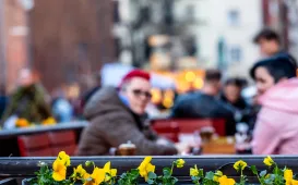 Wiosna na toruńskiej Starówce 