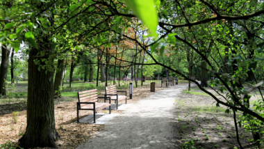Na zdjęciu: ścieżka i ławki w parku Glazja