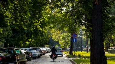Motocyklista na pełnej drzew ulicy Bydgoskiej