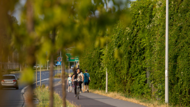Na zdjęciu: porośnięte pnączami ekrany akustyczne oraz drzewa rosnące wzdłuż ścieżki rowerowej przy Trasie Średnicowej
