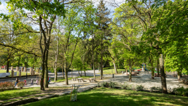 Na zdjęciu: alejki w parku, wokół wysokie drzewa