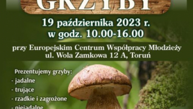 Wystawa grzybów - plakat