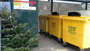 Na zdjęciu: choinka stoi przy pojemnikach na odpady
