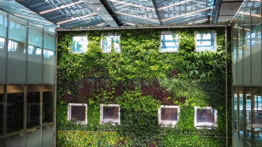 Na zdjęciu budynek z zieloną fasadą